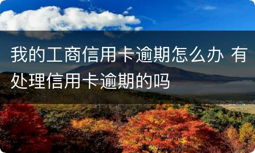我的工商信用卡逾期怎么办 有处理信用卡逾期的吗