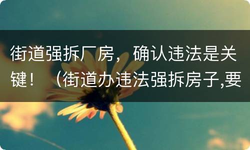 街道强拆厂房，确认违法是关键！（街道办违法强拆房子,要负什么责任吗?）