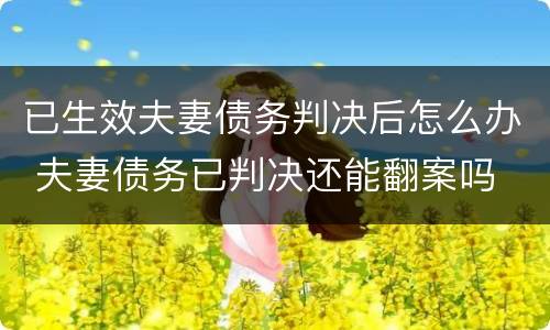 已生效夫妻债务判决后怎么办 夫妻债务已判决还能翻案吗