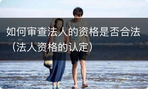 如何审查法人的资格是否合法（法人资格的认定）