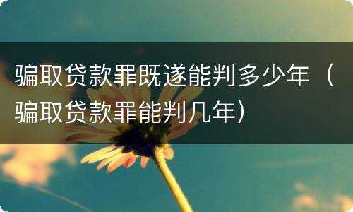 骗取贷款罪既遂能判多少年（骗取贷款罪能判几年）