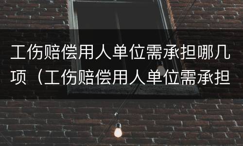 工伤赔偿用人单位需承担哪几项（工伤赔偿用人单位需承担哪几项责任）