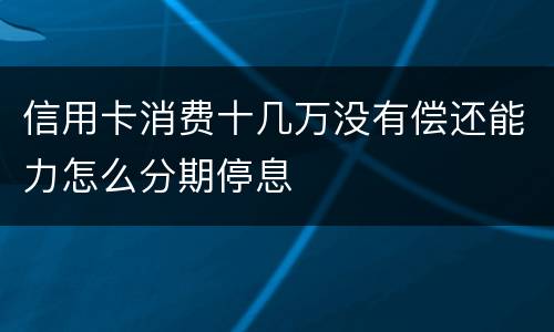 信用卡消费十几万没有偿还能力怎么分期停息