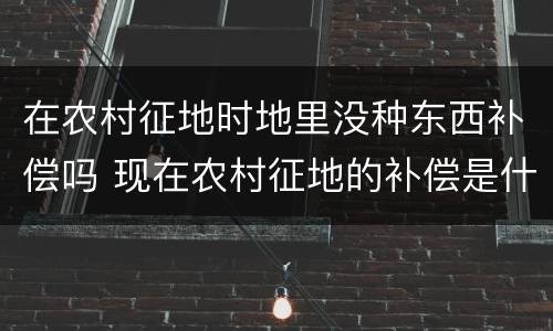 在农村征地时地里没种东西补偿吗 现在农村征地的补偿是什么呢