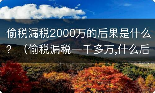 偷税漏税2000万的后果是什么？（偷税漏税一千多万,什么后果）