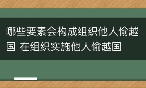 哪些要素会构成组织他人偷越国 在组织实施他人偷越国