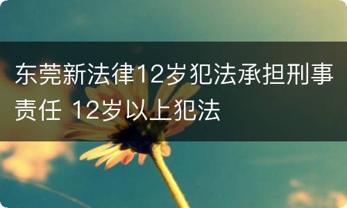 东莞新法律12岁犯法承担刑事责任 12岁以上犯法