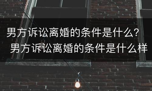 男方诉讼离婚的条件是什么？ 男方诉讼离婚的条件是什么样的