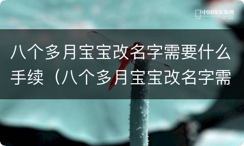 八个多月宝宝改名字需要什么手续（八个多月宝宝改名字需要什么手续呢）