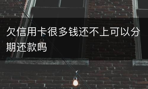 欠信用卡很多钱还不上可以分期还款吗