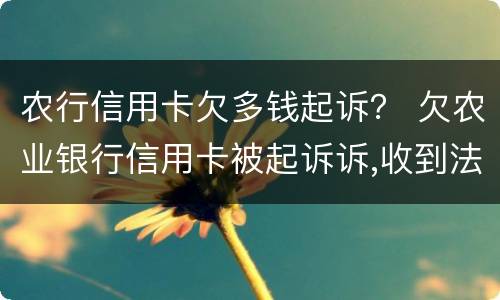 农行信用卡欠多钱起诉？ 欠农业银行信用卡被起诉诉,收到法院传票怎么办