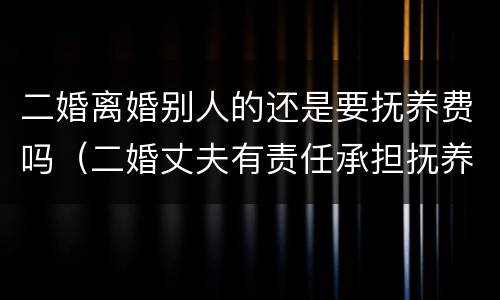 二婚离婚别人的还是要抚养费吗（二婚丈夫有责任承担抚养费吗）