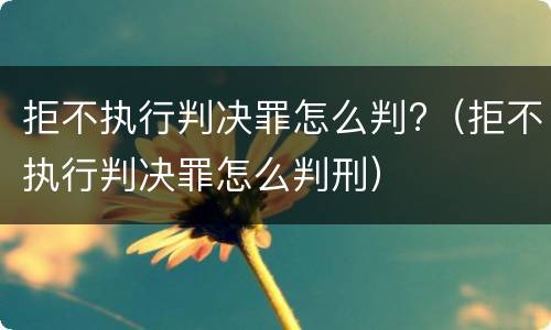拒不执行判决罪怎么判?（拒不执行判决罪怎么判刑）