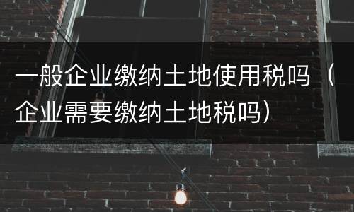 一般企业缴纳土地使用税吗（企业需要缴纳土地税吗）