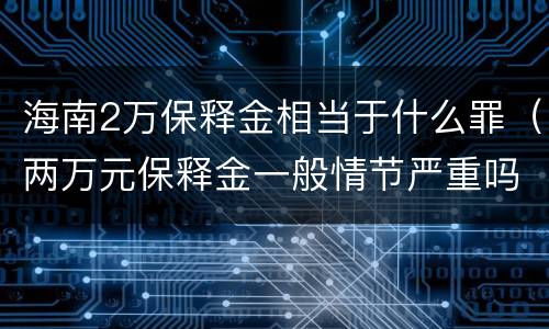 海南2万保释金相当于什么罪（两万元保释金一般情节严重吗）