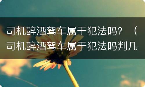 司机醉酒驾车属于犯法吗？（司机醉酒驾车属于犯法吗判几年）