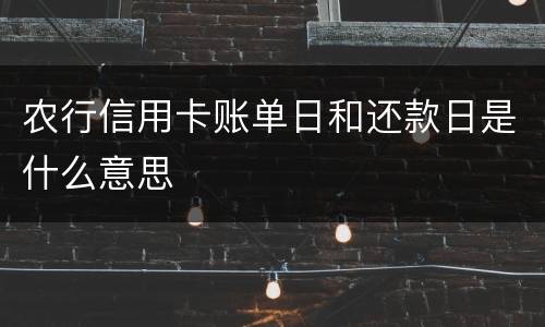 农行信用卡账单日和还款日是什么意思