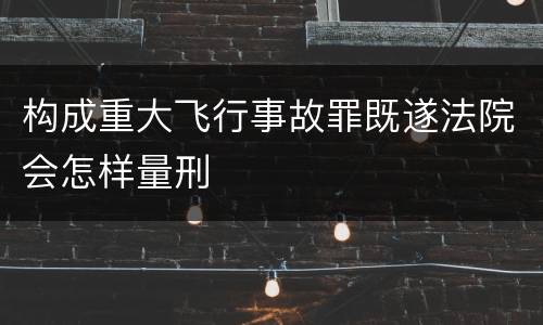 构成重大飞行事故罪既遂法院会怎样量刑