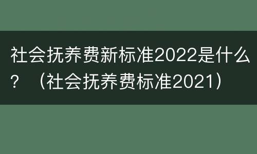 社会抚养费新标准2022是什么？（社会抚养费标准2021）