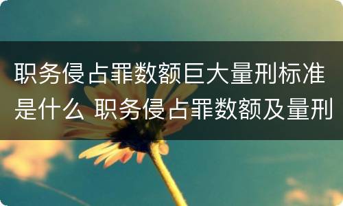 职务侵占罪数额巨大量刑标准是什么 职务侵占罪数额及量刑