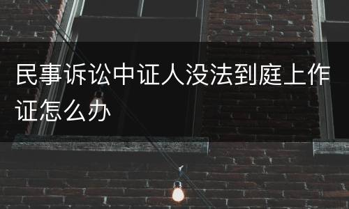 民事诉讼中证人没法到庭上作证怎么办