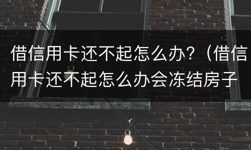 借信用卡还不起怎么办?（借信用卡还不起怎么办会冻结房子吗）