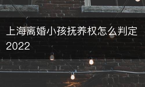 上海离婚小孩抚养权怎么判定2022