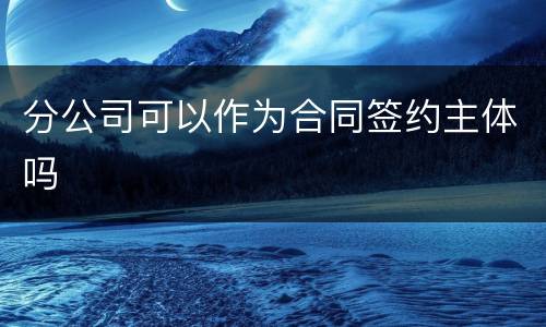 分公司可以作为合同签约主体吗