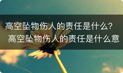 高空坠物伤人的责任是什么？ 高空坠物伤人的责任是什么意思