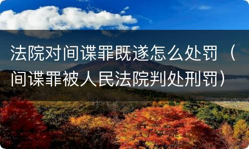 法院对间谍罪既遂怎么处罚（间谍罪被人民法院判处刑罚）