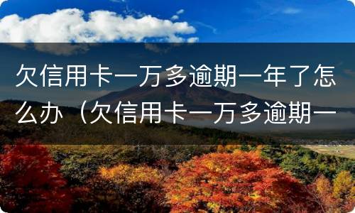欠信用卡一万多逾期一年了怎么办（欠信用卡一万多逾期一年了怎么办理）