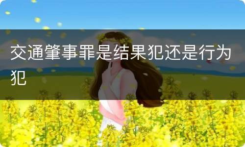 交通肇事罪是结果犯还是行为犯