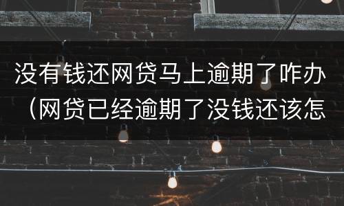 没有钱还网贷马上逾期了咋办（网贷已经逾期了没钱还该怎么办）