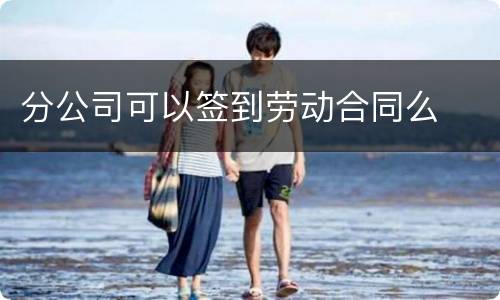 分公司可以签到劳动合同么