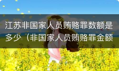 江苏非国家人员贿赂罪数额是多少（非国家人员贿赂罪金额）