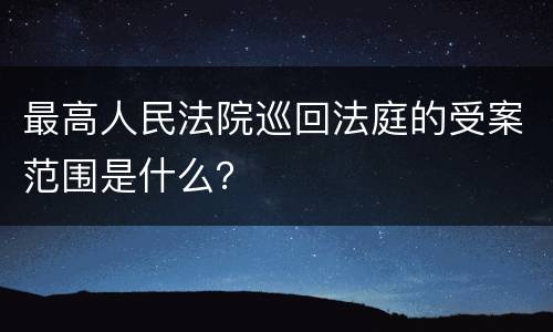 最高人民法院巡回法庭的受案范围是什么？