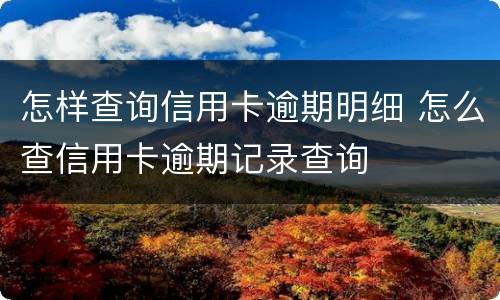 怎样查询信用卡逾期明细 怎么查信用卡逾期记录查询