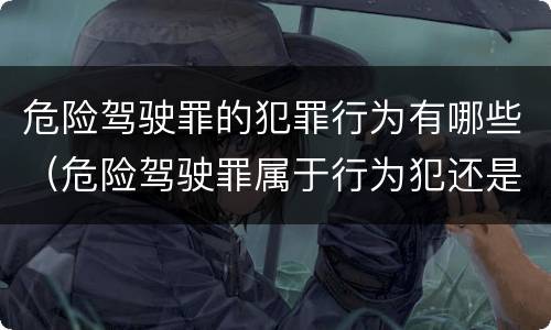 危险驾驶罪的犯罪行为有哪些（危险驾驶罪属于行为犯还是危险犯）