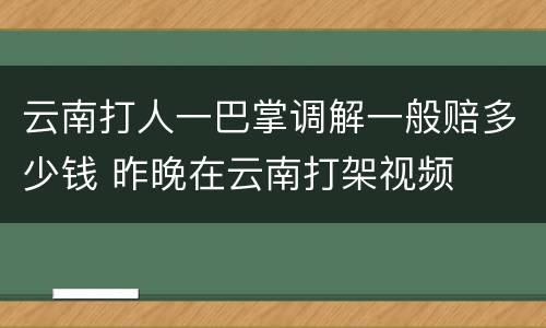 云南打人一巴掌调解一般赔多少钱 昨晚在云南打架视频