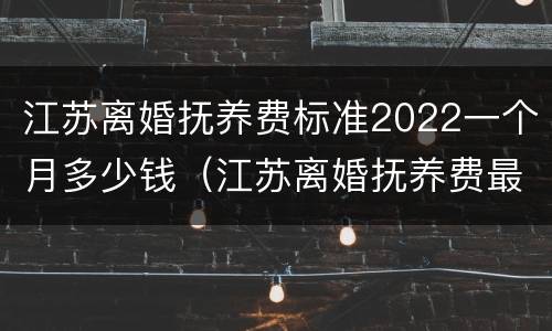 江苏离婚抚养费标准2022一个月多少钱（江苏离婚抚养费最低标准）