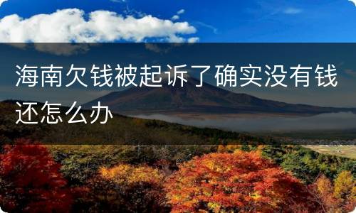 海南欠钱被起诉了确实没有钱还怎么办
