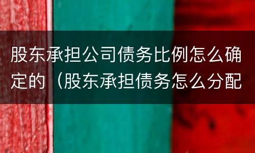 股东承担公司债务比例怎么确定的（股东承担债务怎么分配）
