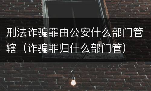 刑法诈骗罪由公安什么部门管辖（诈骗罪归什么部门管）