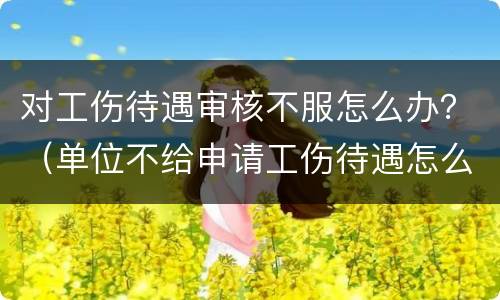 对工伤待遇审核不服怎么办？（单位不给申请工伤待遇怎么办）