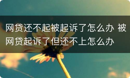 网贷还不起被起诉了怎么办 被网贷起诉了但还不上怎么办