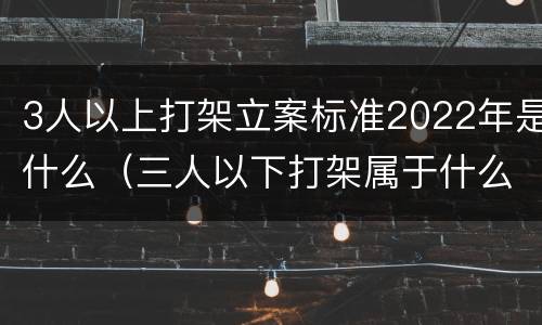 3人以上打架立案标准2022年是什么（三人以下打架属于什么案件）