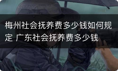 梅州社会抚养费多少钱如何规定 广东社会抚养费多少钱