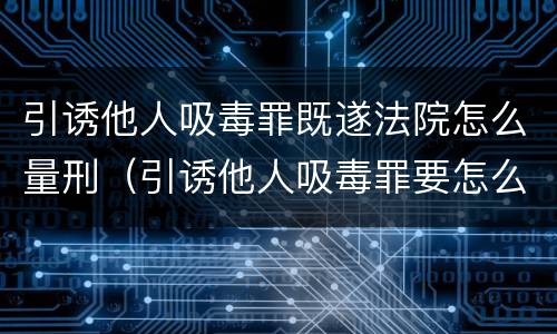 引诱他人吸毒罪既遂法院怎么量刑（引诱他人吸毒罪要怎么判）