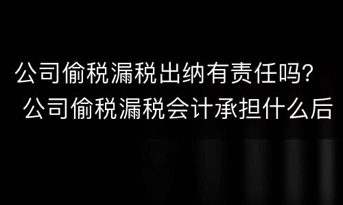 公司偷税漏税出纳有责任吗？ 公司偷税漏税会计承担什么后果