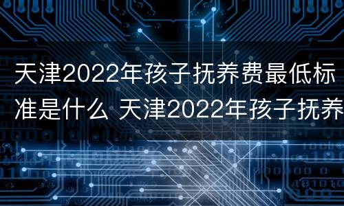 天津2022年孩子抚养费最低标准是什么 天津2022年孩子抚养费最低标准是什么呢
